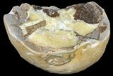 Yellow Calcite Filled Septarian Nodule Half - Utah #127997-1